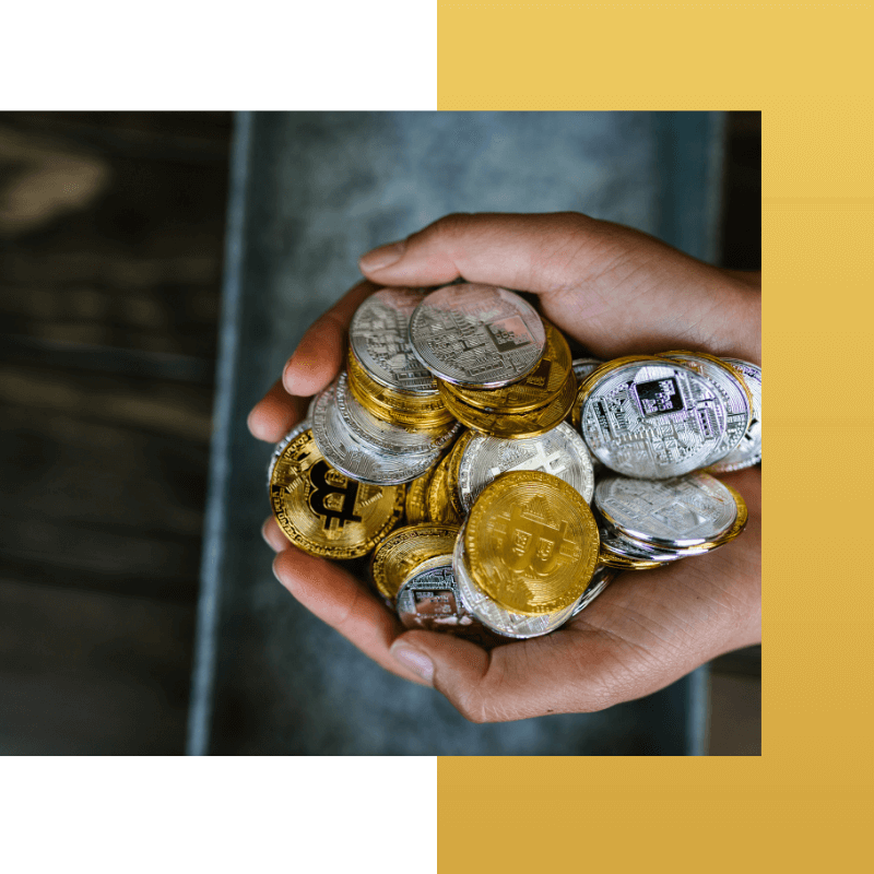Person Holding Coins