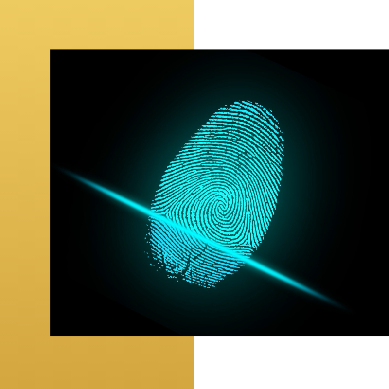 Retina Scan3